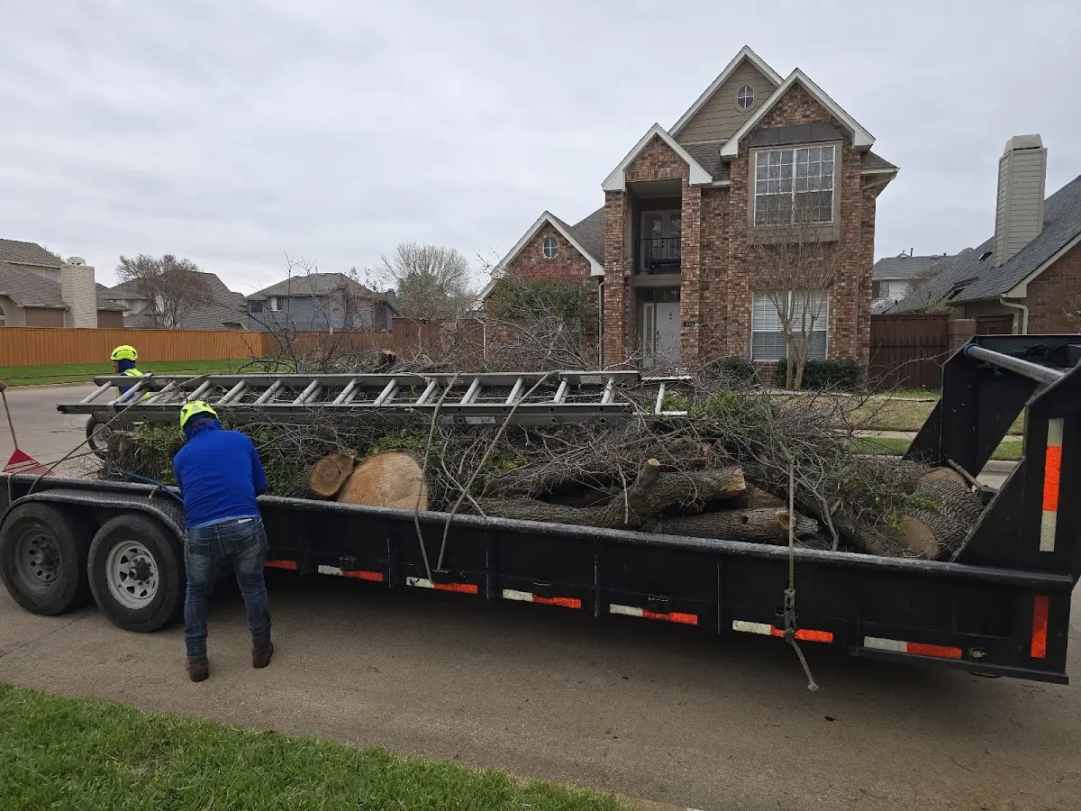 Expert Tree Fertilization with proper safety equipment in Dowell